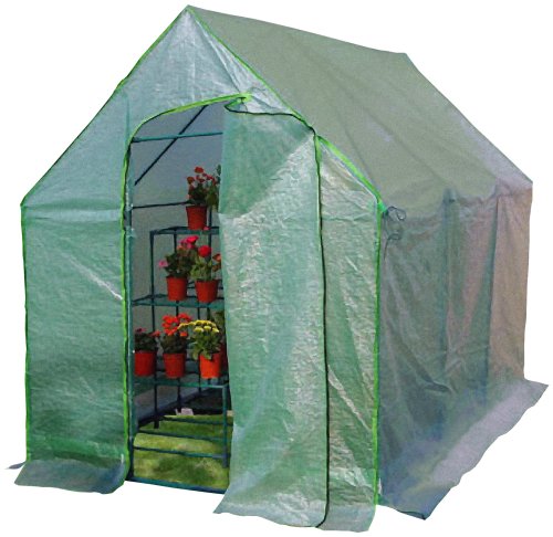 Systems Trading MGH610 Backyard Garden Greenhouse, Green, 6 by 10 Feet