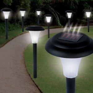 8 SOLAR ACCENT LIGHTING