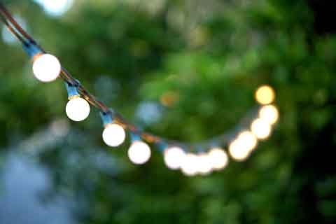 Frosted Globe String Lights Set of 25 G40 FROSTED Bulbs Indoor / Outdoor