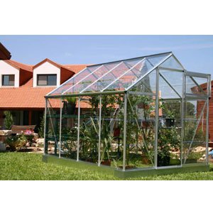 STCSL608 Greenline 6- By 8-Foot Backyard Hobby Greenhouse