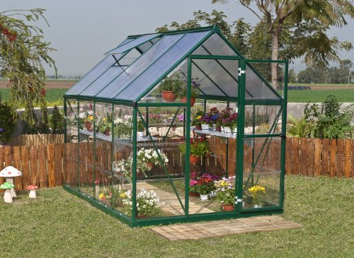 Greenline 6-by-8-Foot Backyard Hobby Greenhouse