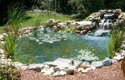 Clear Pond Complete In-Ground Backyard Pond Kit – 4ft. x 6ft. x 18in. Deep, Model# 71104