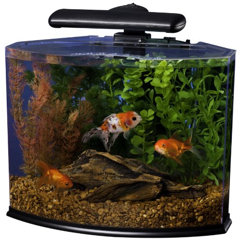 Tetra Crescent Aquarium Kit, 5-Gallon