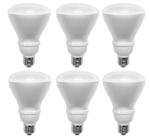 TCP 14-Watt Soft White Compact Fluorescent Flood Light Bulb (6 Pack)