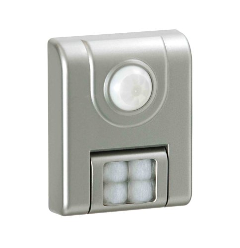 Fulcrum Motion Sensor LED Light