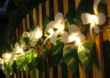 White Frangipani Flower Party String Lights (20/set)