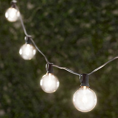 Table In A Bag Aspen BULB025F Frosted 25-Watt Bulbs for Global Party Lights, Set of 25