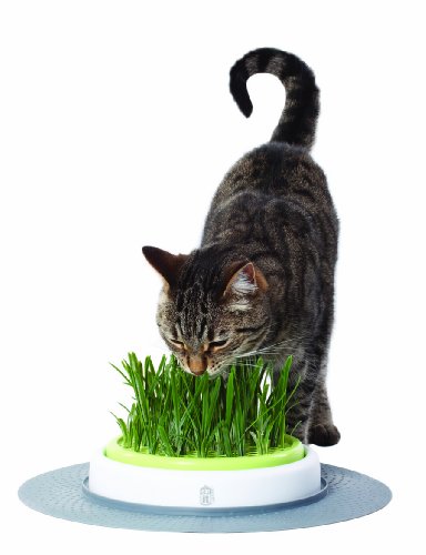 Catit Design Senses Grass Garden Kit