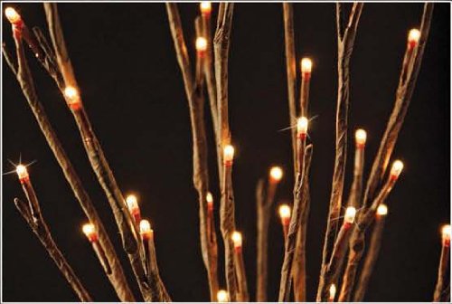 The Light Garden WLWB6040-B Battery Powered Willow Branch Accent Light with 60 Lights