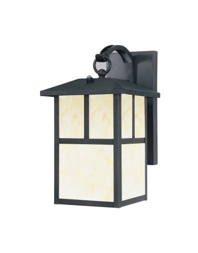 Westinghouse Lighting 6482900 Energy Star Dusk-to-Dawn 1-Light Exterior Steel Wall Lantern, Black