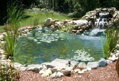 Aquatic BioTechnologies 71105 10 ft. x 12 ft. Complete Pond Kit