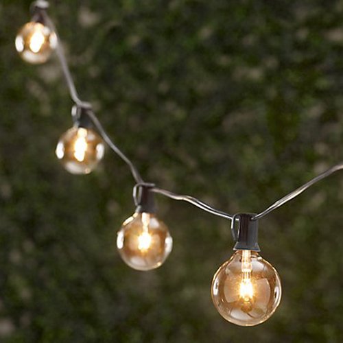 Table In A Bag Aspen SL252504 Global String Lights with Bulbs, 100-Feet