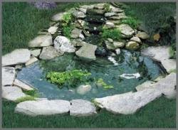 Winged Aquatics Bird Pond with 3 Tier Cascade