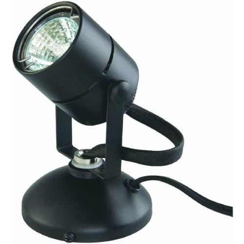 Good Earth Lighting G19920-BK-I Halogen Spot Light