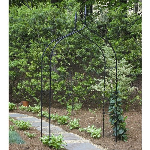 Gardman R351 55-Inch by 101-Inch by 19-Inch Gothic Arch