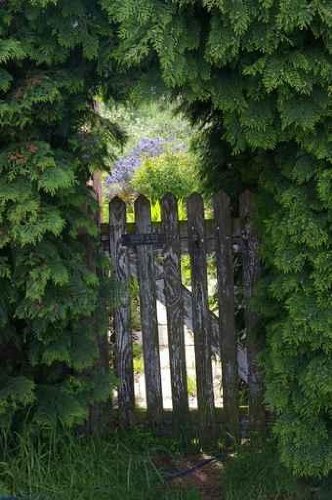Wooden Garden Gate – 24″H x 16″W – Peel and Stick Wall Decal by Wallmonkeys