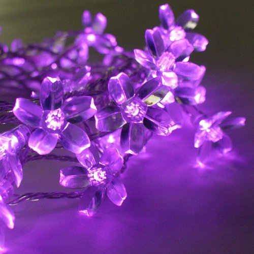 Solar Fairy Lights for Gardens