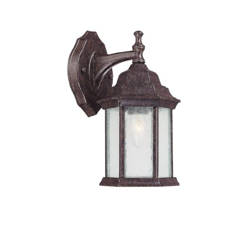 Capital Lighting 9832NT Main Street 1-Light Outdoor Wall Lantern, New Tortoise with Seeded Glass