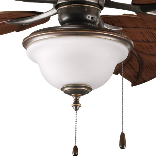 Progress Lighting P2636-20 2-Light Indoor/Outdoor Fan Light Kit with Frosted Seeded Glass, Antique Bronze