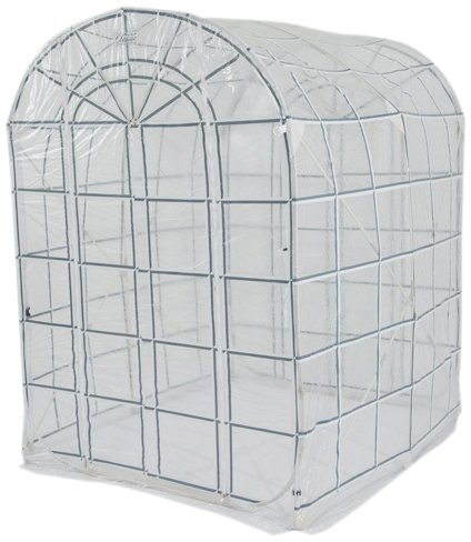 Flower House FHCL566CLW Pop Up Classic Greenhouse Storage Shed, White