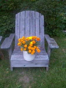 flower pot on a chair image