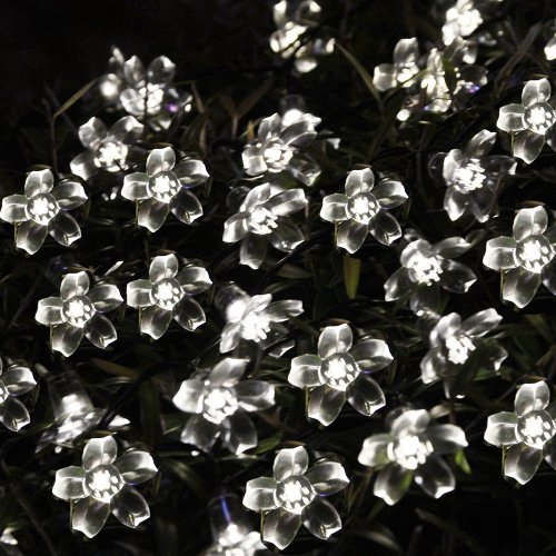 Innoo Tech** Warm White 5M 50 Led Blossom Solar Fairy Lights for Gardens, Homes, Christmas, Partys, Weddings