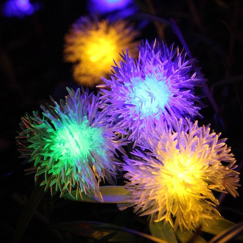 Lycheers 4.8m 20 Led Chuzzle Solar Fairy String Lights for Outdoor, Gardens, Homes, Christmas Party (Multi-color)