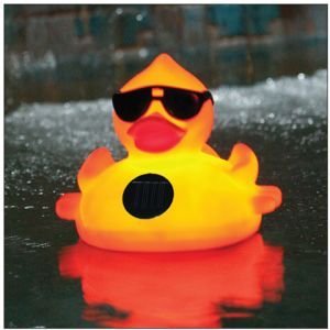 GAME 8002 Solar Light Up Duck Pool Chlorinator