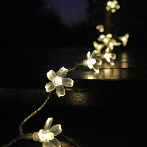 Lycheers 5m 50 Led Blossom Solar Fairy Lights for Gardens, Homes, Christmas, Partys, Weddings (Warm White)