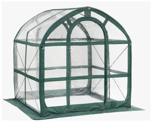 Flower House FHSP300CL SpringHouse Greenhouse, Clear