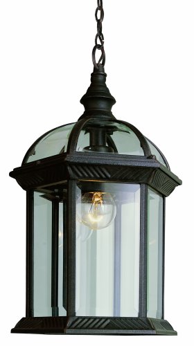 Trans Globe Lighting 4183 BC 1-Light Outdoor Hanging Lantern, Black Copper, 14-Inch Height