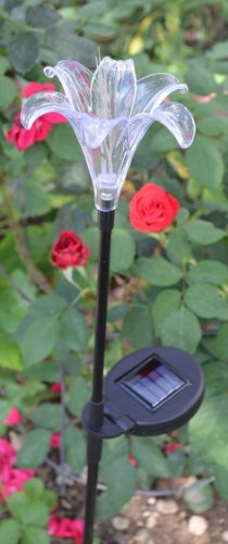 Solar Wholesale SGSL1LA101B Solar Lily Garden Light with Black Coated Pole