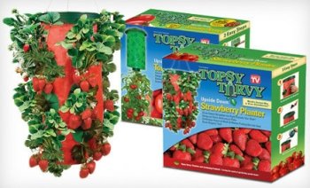 Topsy Turvy Strawberry Upside-Down Planters (Pack of 2)