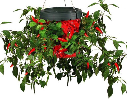 Felknor Ventures TT081112 Topsy Turvy Upside Down Hot Pepper Planter