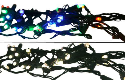 LED 50ct Light String Multi or Clear Battery Operated with Timer