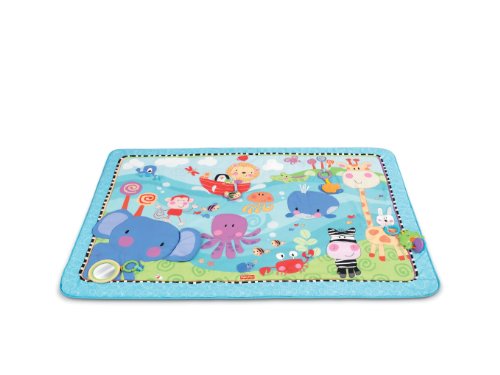 Fisher-Price Discover ‘n Grow Play Mat, Jumbo