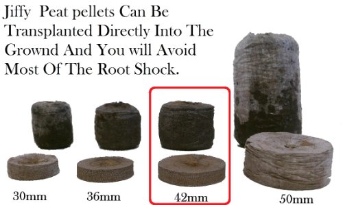 100 Jiffy 7 Peat Pellets 42mm – Seeds Starting – Jiffy Peat Pellet Helps to Avoid Root Shock – 100 Jiffy Peat Pellets 42mm
