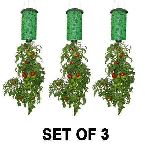 Topsy Turvy Upside-Down Tomato Planter (3-Pack)