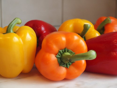 Tasty Colorbell Pepper 4 Plants – Green/Yellow/Purple/Red