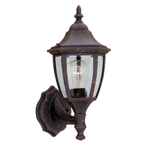 Designers Fountain 2462-AG Builder Cast Aluminum Collection 1-Light Exterior Wall Lantern, Autumn Gold Finish with Clear Beveled Glass