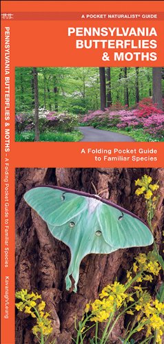 Pennsylvania Butterflies & Moths: A Folding Pocket Guide to Familiar Species (Pocket Naturalist Guide Series)