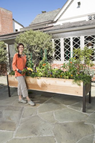 Elevated Cedar Planter Box, 2′ x 8′