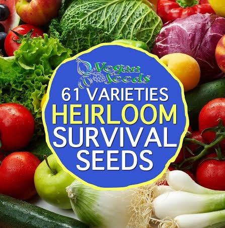 Organic Heirloom Preppers Pack Special Non-gmo Non-hybrid 36,666 Seeds Free Bonus 61 Varieties Twice The Seeds As Any Competitor All Seeds Are Vegan