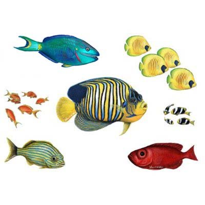 Walls of the Wild Combo Fish Pack OVERSTOCK!