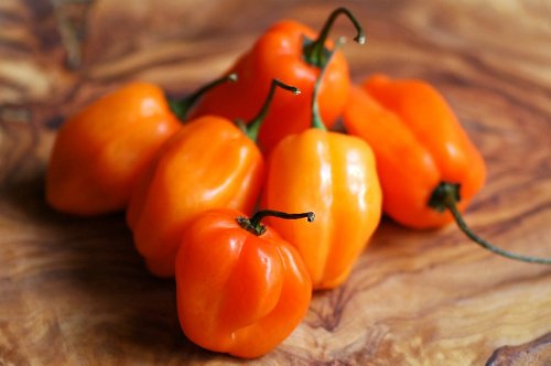 Habanero Pepper 4 Plants – Very, Very Hot!