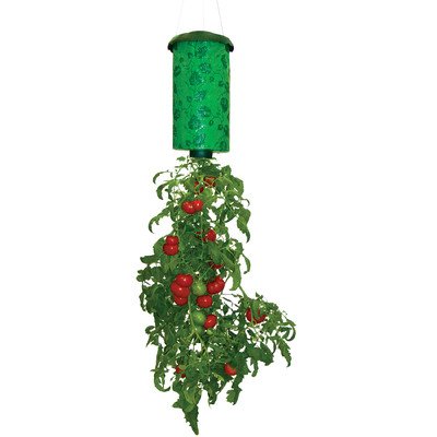 Round Planter Planter Type: Upside Down Tomato Planter