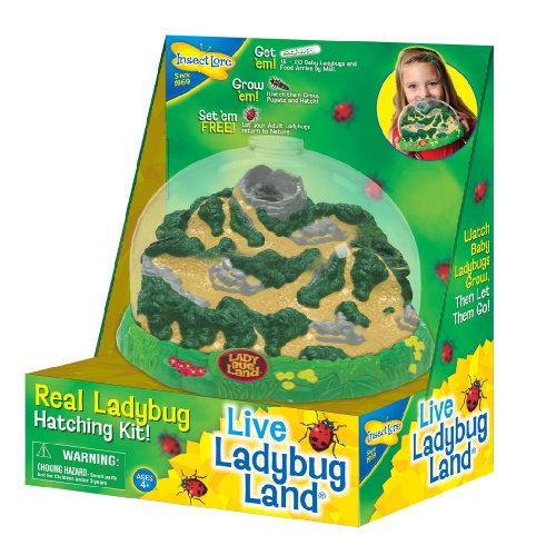 Insect Lore Ladybug Land