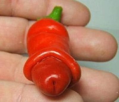 Peter Pepper Red Hot Pepper 10+ seeds