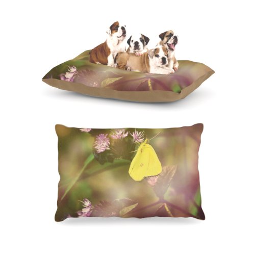 Kess InHouse Robin Dickinson “Butterfly Kisses” Green Purple Dog Bed