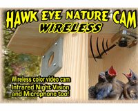 Birdhouse Spy Cam Hawk Eye Birdwatching Camera